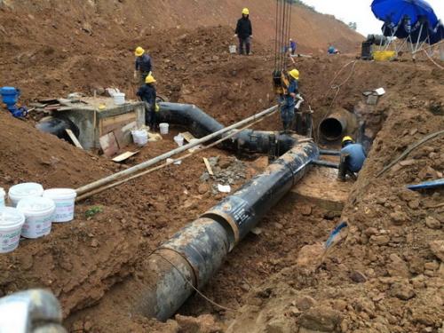 1603443717104069.jpg u=991808985,276804281&fm=26&gp=0.jpg