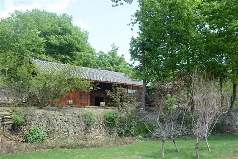 1607064596991742.jpg 1607064596991742.jpg