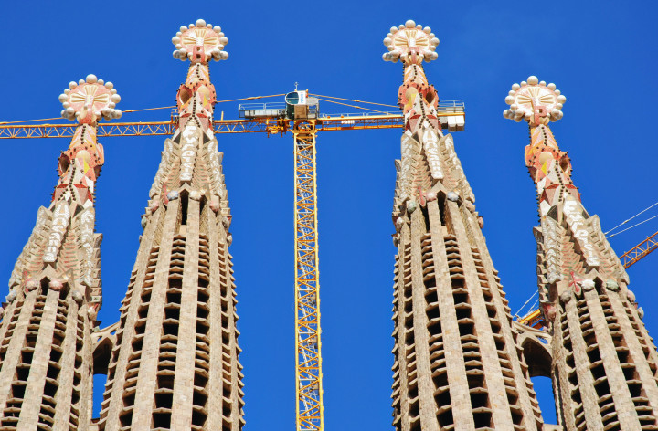 1703639661882975.jpg 鉴定1 (2).jpg