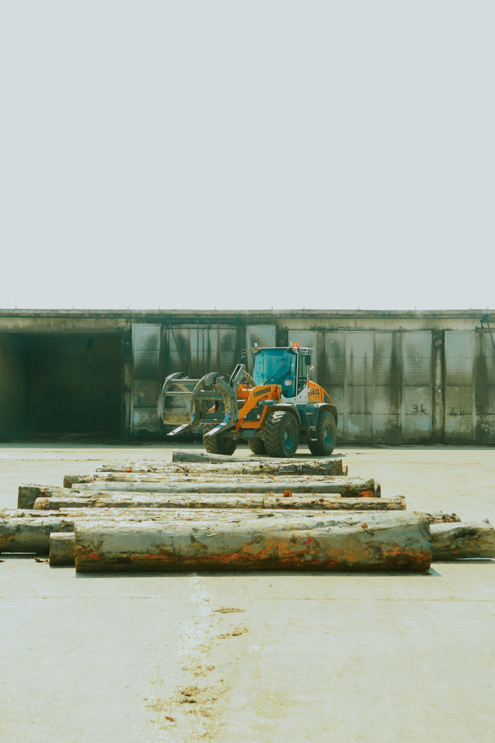 1704188802190376.jpg 木材2 (2).jpg